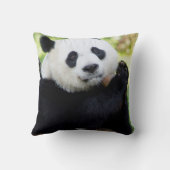 ジャイアントパンダ座 クッション (裏面)