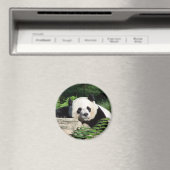 ジャイアントパンダ昼寝 マグネット (インサイチュ (食洗機))