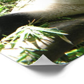 ジャイアントパンダ熊のポスター ポスター (角)