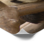 ジャイアントパンダ熊&ベビーパンダのポスター ポスター (角)