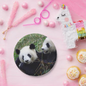 ジャイアントパンダ食べ物ベアズバンブー(キッズパーティー) ペーパープレート (パーティー)