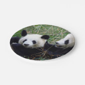 ジャイアントパンダ食べ物ベアズバンブー(キッズパーティー) ペーパープレート (アングル)