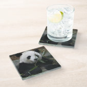 ジャイアントパンダ ガラスコースター (アングル)