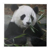 ジャイアントパンダ タイル (正面)