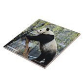 ジャイアントパンダ タイル (側面)