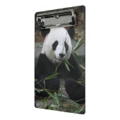 ジャイアントパンダ ミニクリップボード (アングル2)