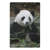 ジャイアントパンダ ミニクリップボード (裏面)