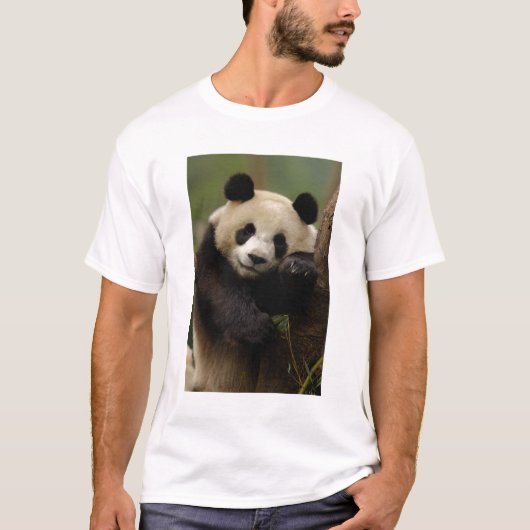 ジャイアントパンダ(Ailuropoda melanoleuca) ファミリー Tシャツ (正面)
