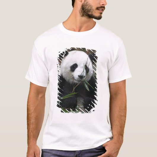 ジャイアントパンダ Tシャツ (正面)