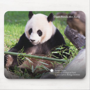 ジャイアントパンダMei Xiang マウスパッド