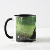 ジャイアントパンダMei Xiang マグカップ (左)