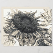 ジャイアントヒマワリヴィンテージセピアデコップエフェラ (正面/裏面)