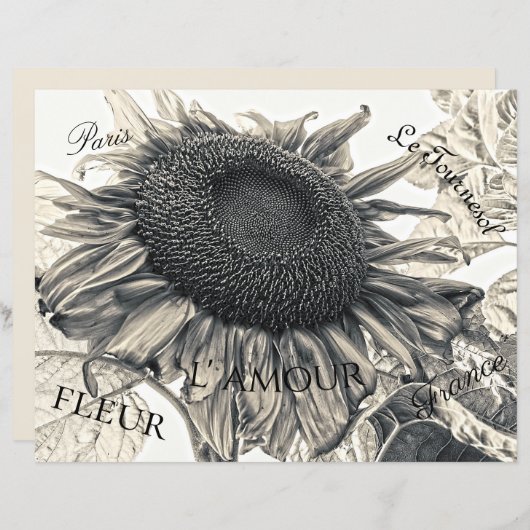 ジャイアントヒマワリヴィンテージセピアデコップエフェラ (正面/裏面)