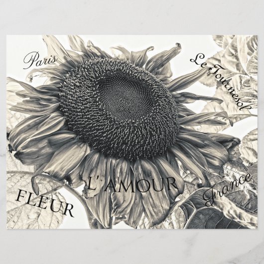 ジャイアントヒマワリヴィンテージセピアデコップエフェラ (正面)