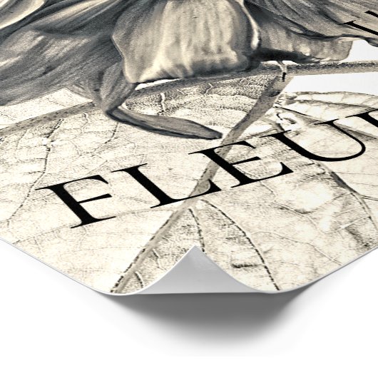 ジャイアントヒマワリヴィンテージセピアデコップエフェラ ポスター (角)