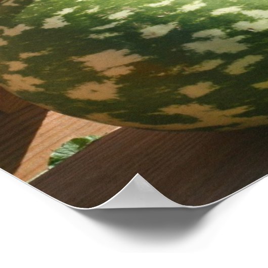 ジャイアントファンシーグルズ秋鏡抽象芸術 ポスター (角)