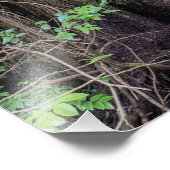 ジャイアントフォレスト針葉樹自然 フォトプリント (角)