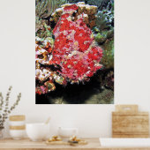 ジャイアントフロッグフィッシュポートレート ポスター (キッチン)