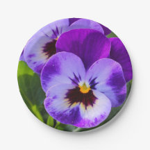 ジャイアントポンパンジーがこれを満たす