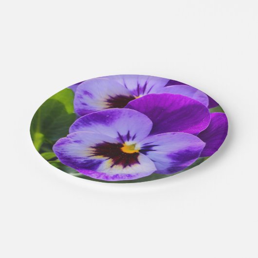 ジャイアントポンパンジーがこれを満たす ペーパープレート (アングル)