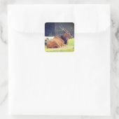 ジャイアントランドステッカー スクエアシール (バッグ)