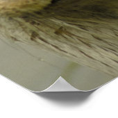 ジャイアントリバーのポスター ポスター (角)