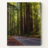 ジャイアントレッドウッドカリフォルニア大通り ノートブック (裏面)