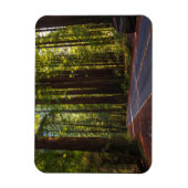 ジャイアントレッドウッドカリフォルニア通り マグネット (縦)