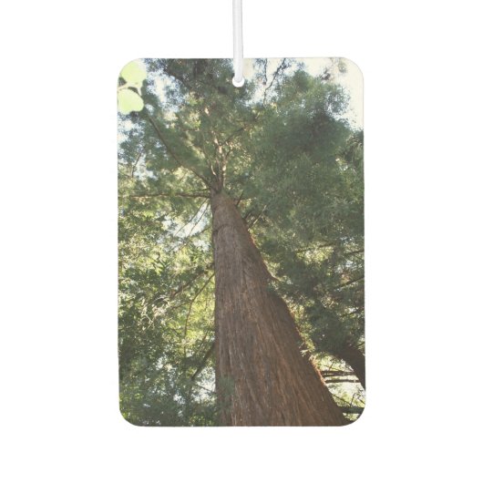 ジャイアントレッドウッドセコイアツリートップミュアウッドフォレスト カーエアーフレッシュナー (正面)