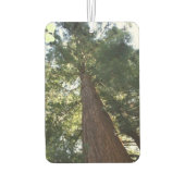 ジャイアントレッドウッドセコイアツリートップミュアウッドフォレスト カーエアーフレッシュナー (裏面)