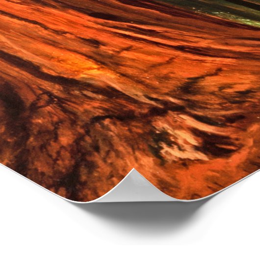 ジャイアントレッドウッドフォレストツリーズヨセミテバレーカリ ポスター (角)