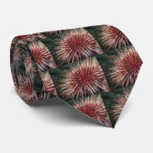 ジャイアントレッドシーウニ – タイ (ロール)