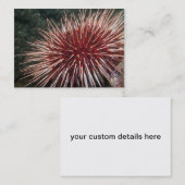 ジャイアントレッドシーウニ-名刺 名刺 (正面/裏面)