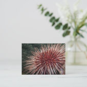 ジャイアントレッドシーウニ-名刺 名刺 (スタンド正面)