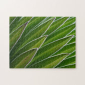 ジャイアントロベリア（ロベリアテレキ）|ケニア、アフリカ ジグソーパズル (横)