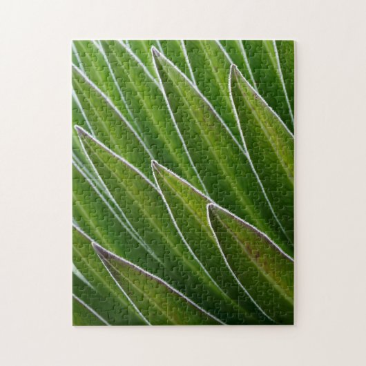 ジャイアントロベリア（ロベリアテレキ）|ケニア、アフリカ ジグソーパズル (縦)