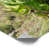 ジャイアントロベリア（ロベリア・デケニ）ケニア山 ポスター (角)