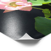 ジャイアントロータスフラワーフォトプリント フォトプリント            (角)