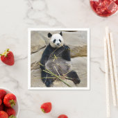 ジャイアント食べパンダ竹 スタンダードカクテルナプキン (インサイチュ)