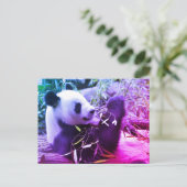 ジャイアント食べパンダ竹 ポストカード (スタンド正面)