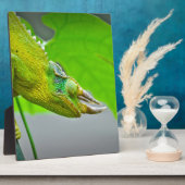 ジャイアント3角カメレオン フォトプラーク (側面)