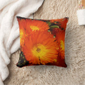 ジャイアント・オレンジデイジー クッション (ブランケット)