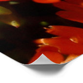 ジャイアント・オレンジデイジー ポスター (角)