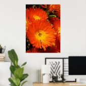 ジャイアント・オレンジデイジー ポスター (ホームオフィス)