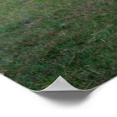 ジャイアント/ダービー卿のランドヤング・ブル ポスター (角)