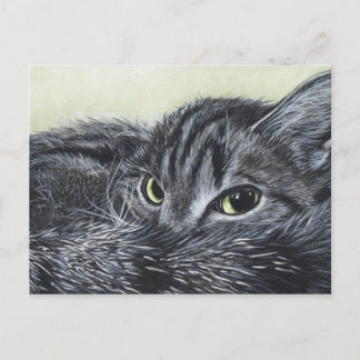 ジャイン ポストカード