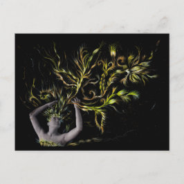 ジャウィル17 ポストカード