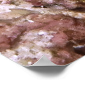 ジャウフィッシュのぞき ポスター (角)