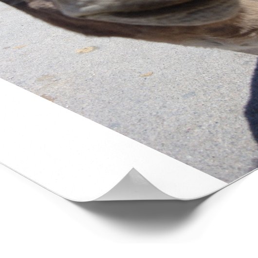 ジャカス002 ポスター (角)