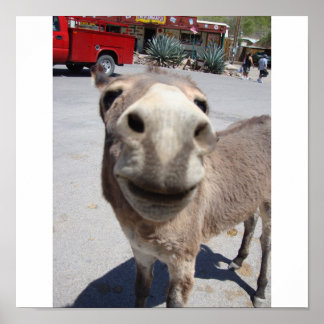 ジャカス002 ポスター